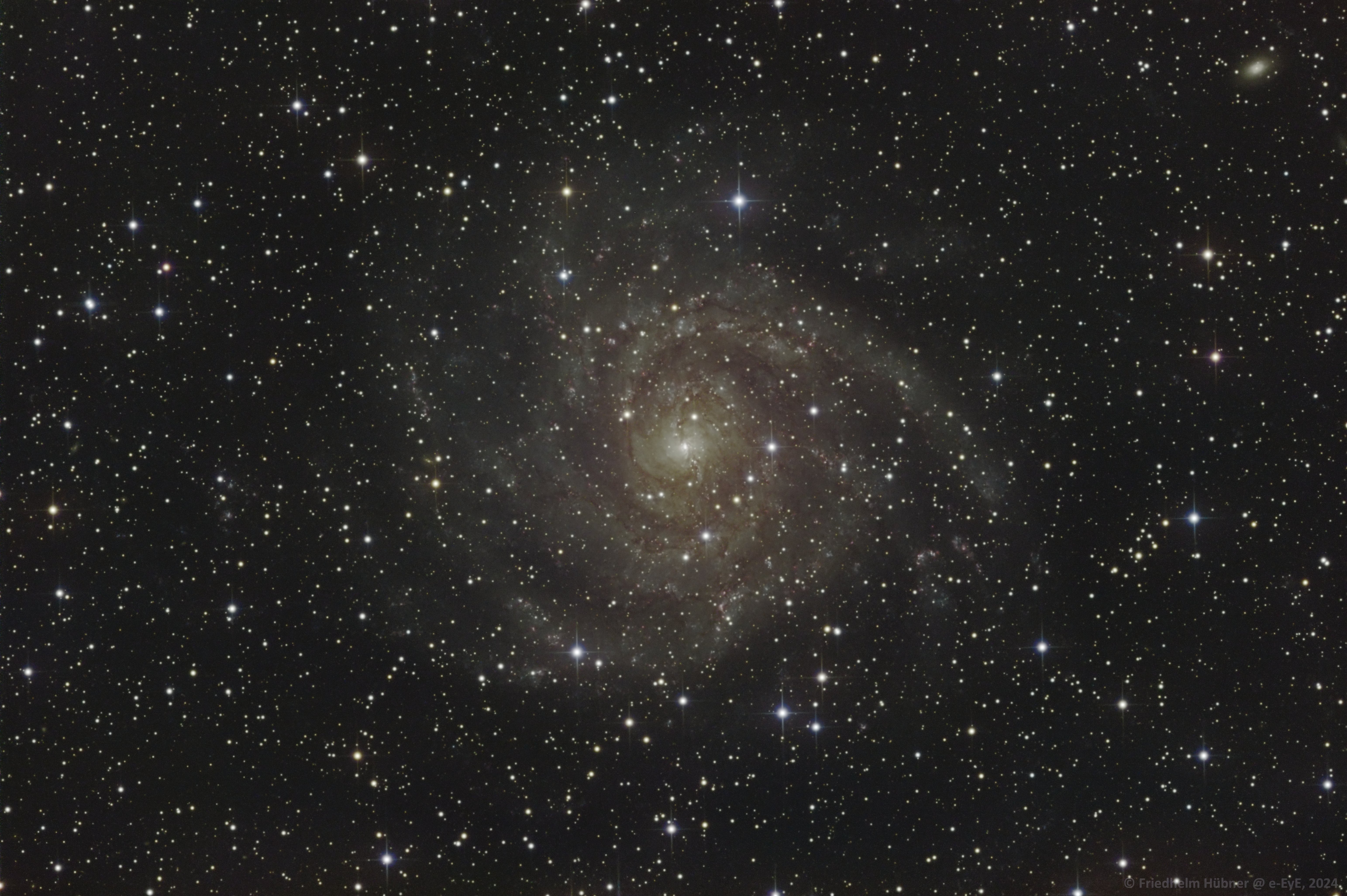 IC 342 (Cam)