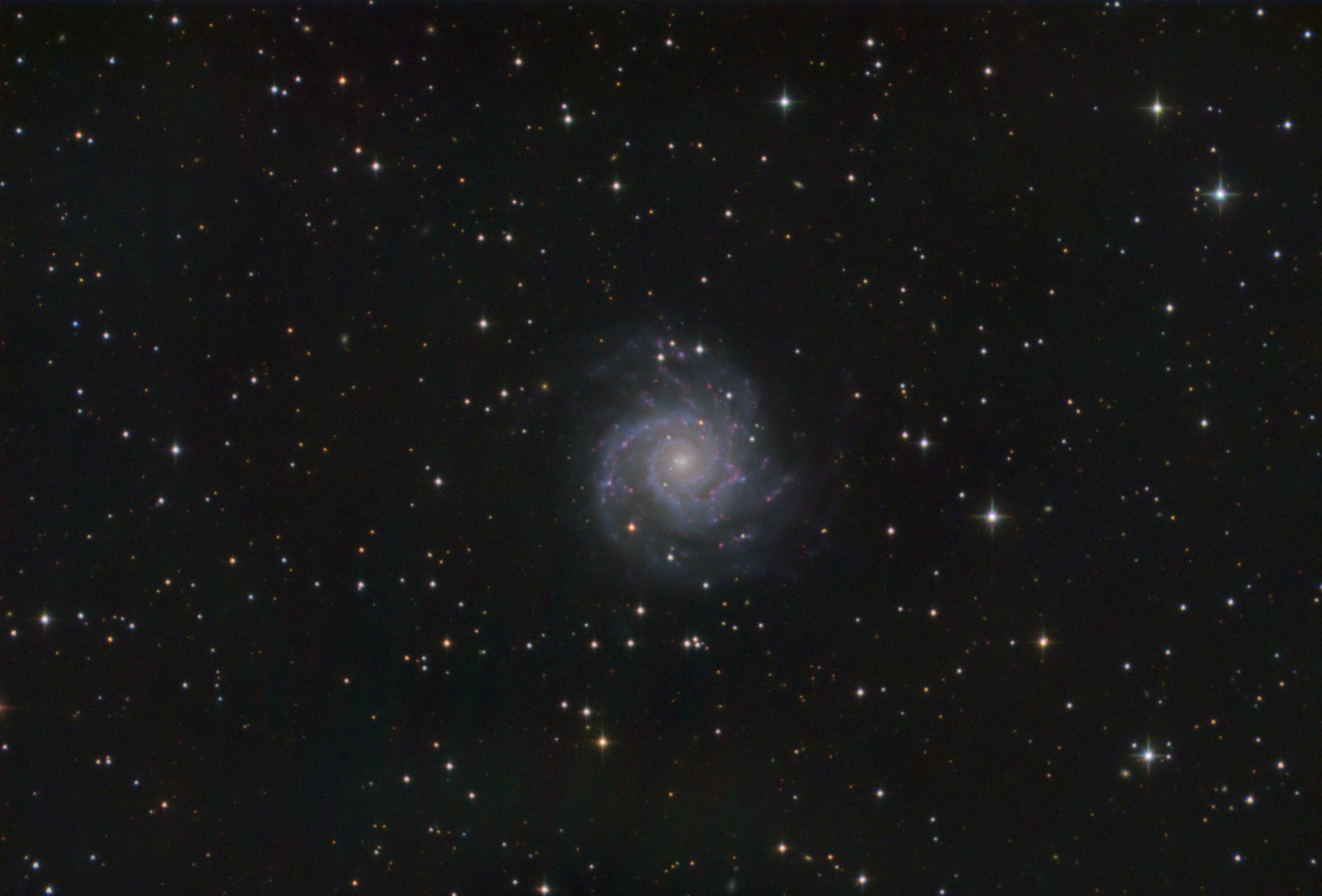 M 74 (Psc)