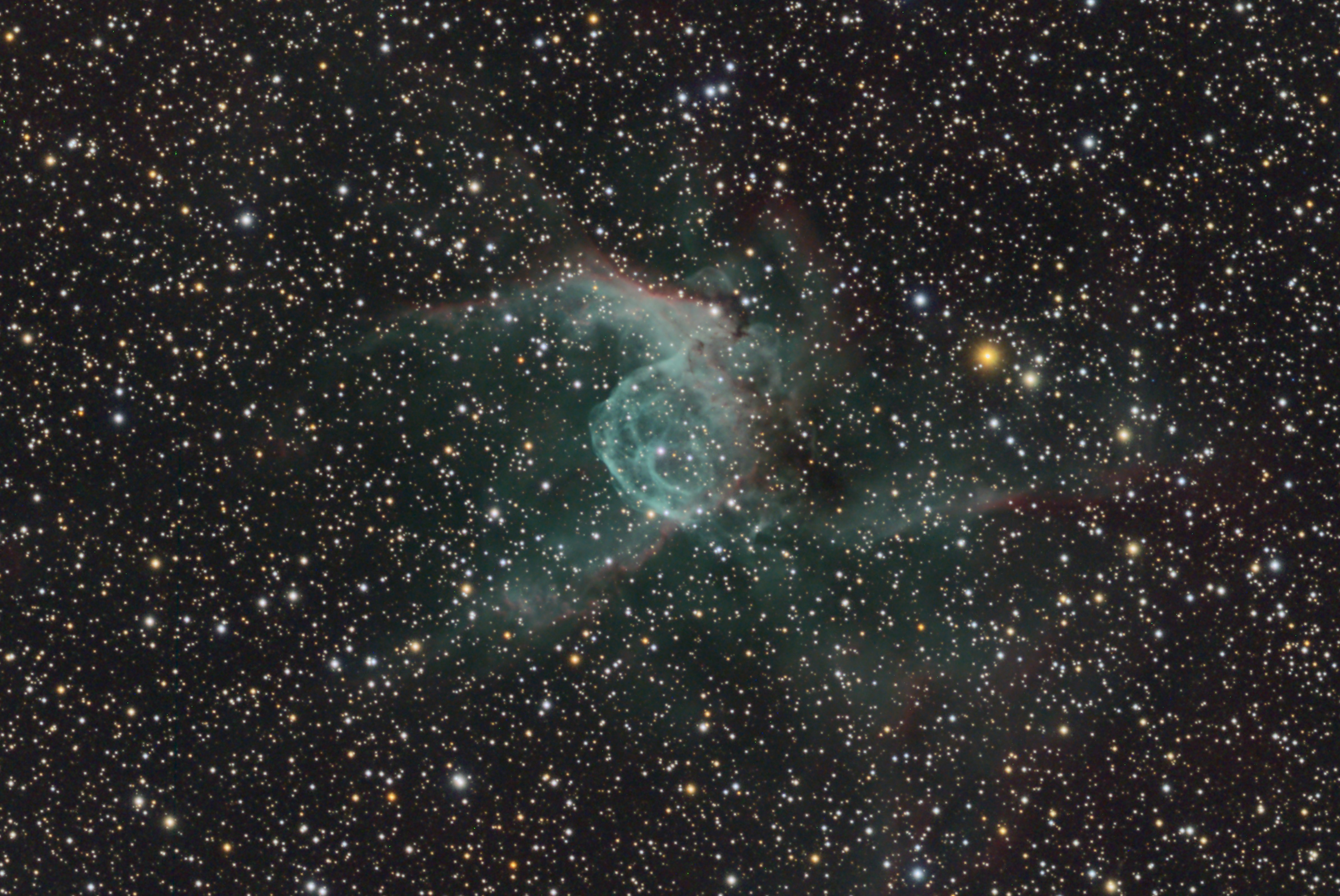 NGC 2359 (CMa)