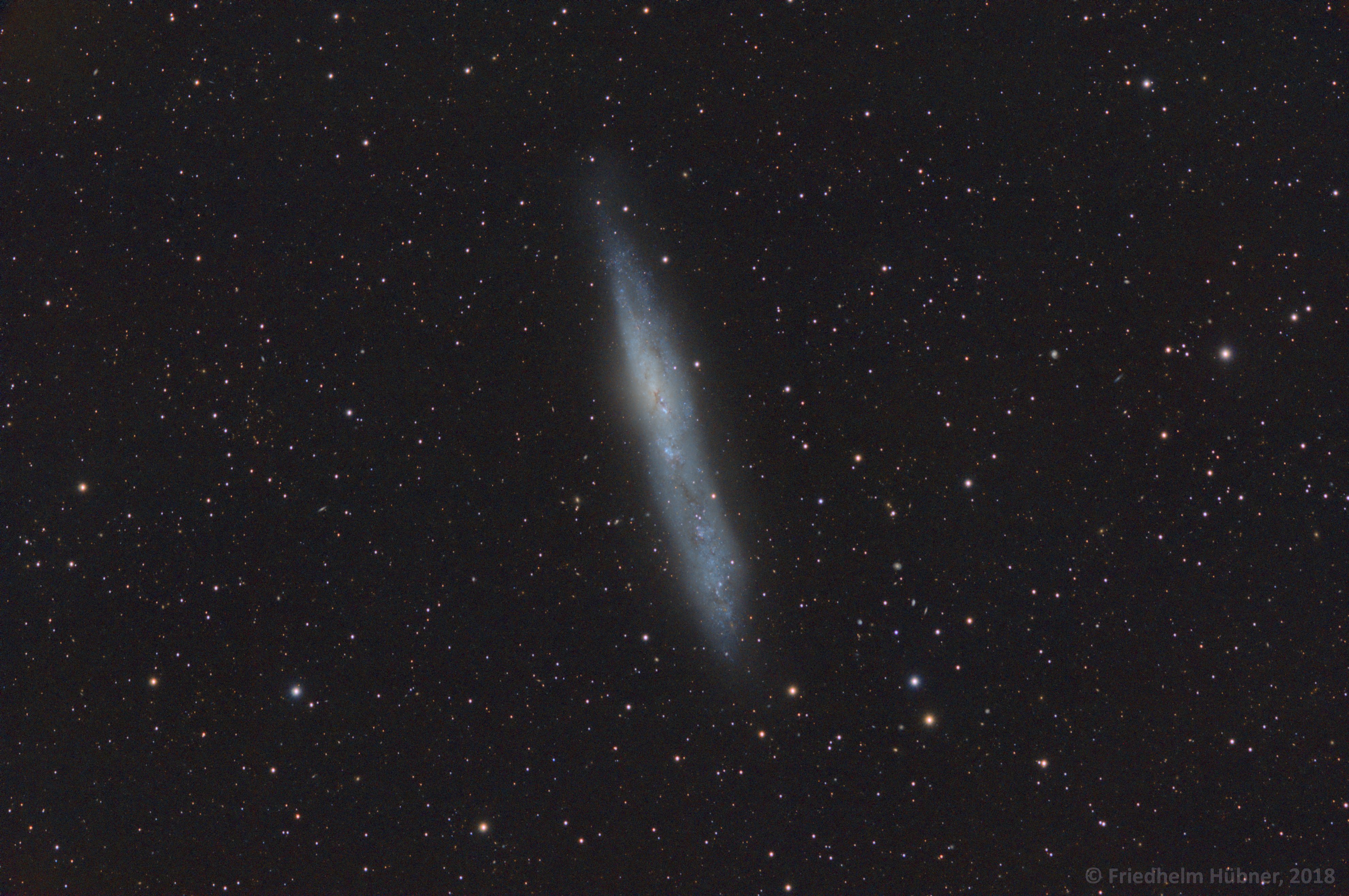 NGC 55 (Scl)
