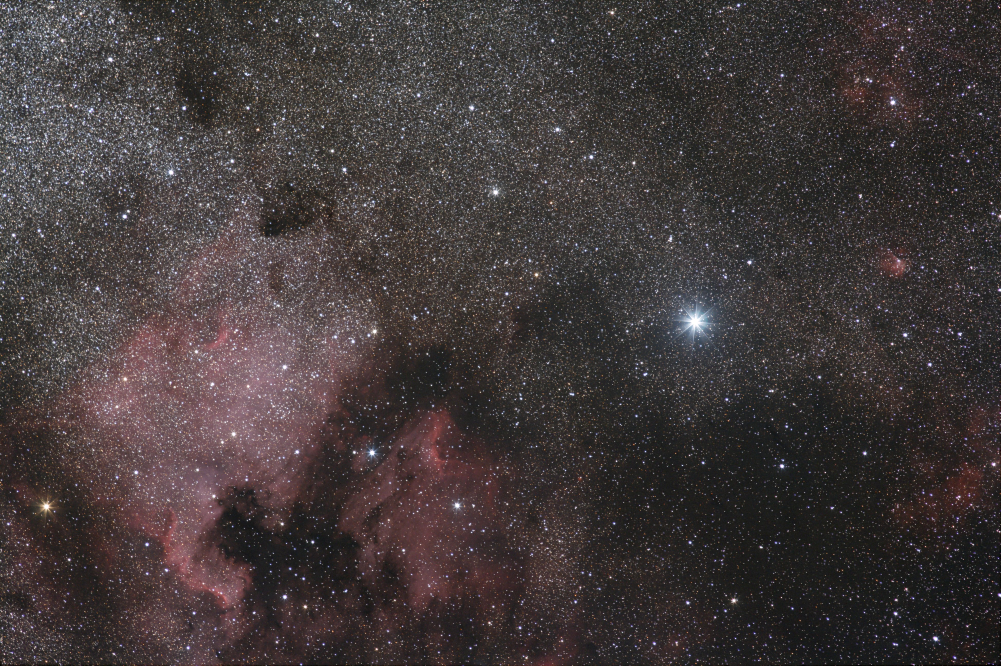 NGC 7000 (Cyg)