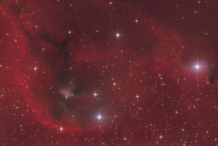 Cederblad 51 (Ori)