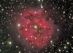 IC 5146 (Cyg)