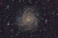 IC 342 (Cam)