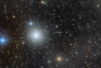 M15 and IFN (Peg)