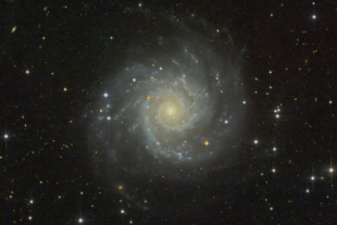 M 74 (Psc)