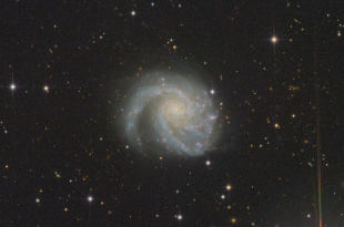 M99 (Com)