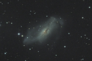 NGC 2146 (Cam)