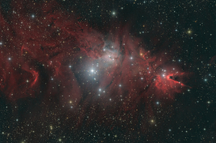 NGC 2264 (Mon)