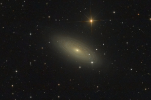 NGC 2841 (UMa)
