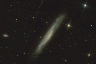 NGC 3079 (UMa)