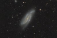 NGC 4088 (UMa)