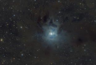 NGC 7023 (Cep)