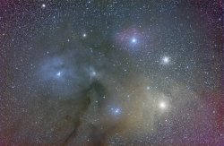 Rho Ophiuchi-region (Oph)